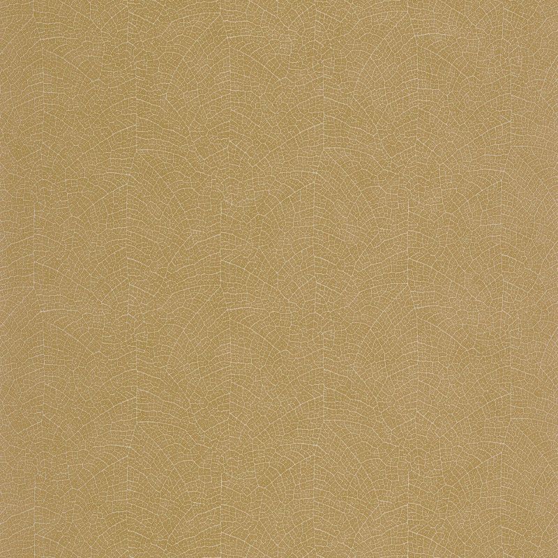 Ochre - Nola
