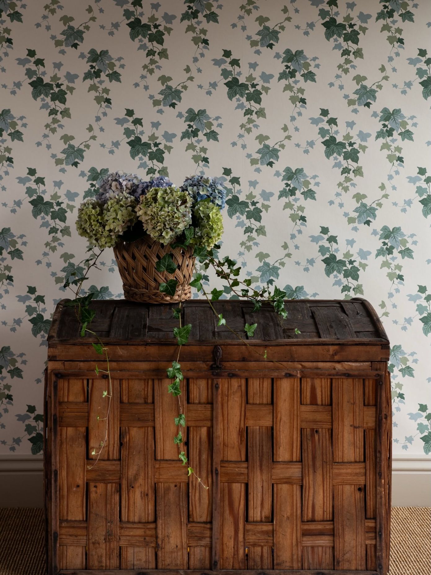 Ivy