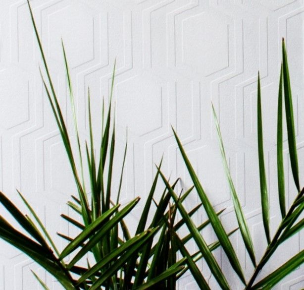 Geo Paintable