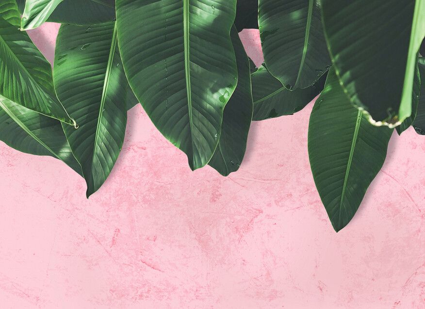 Leaf Wall Mural - Pink
