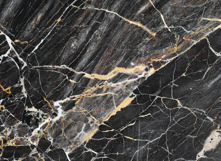 Black Gold Marble Mural