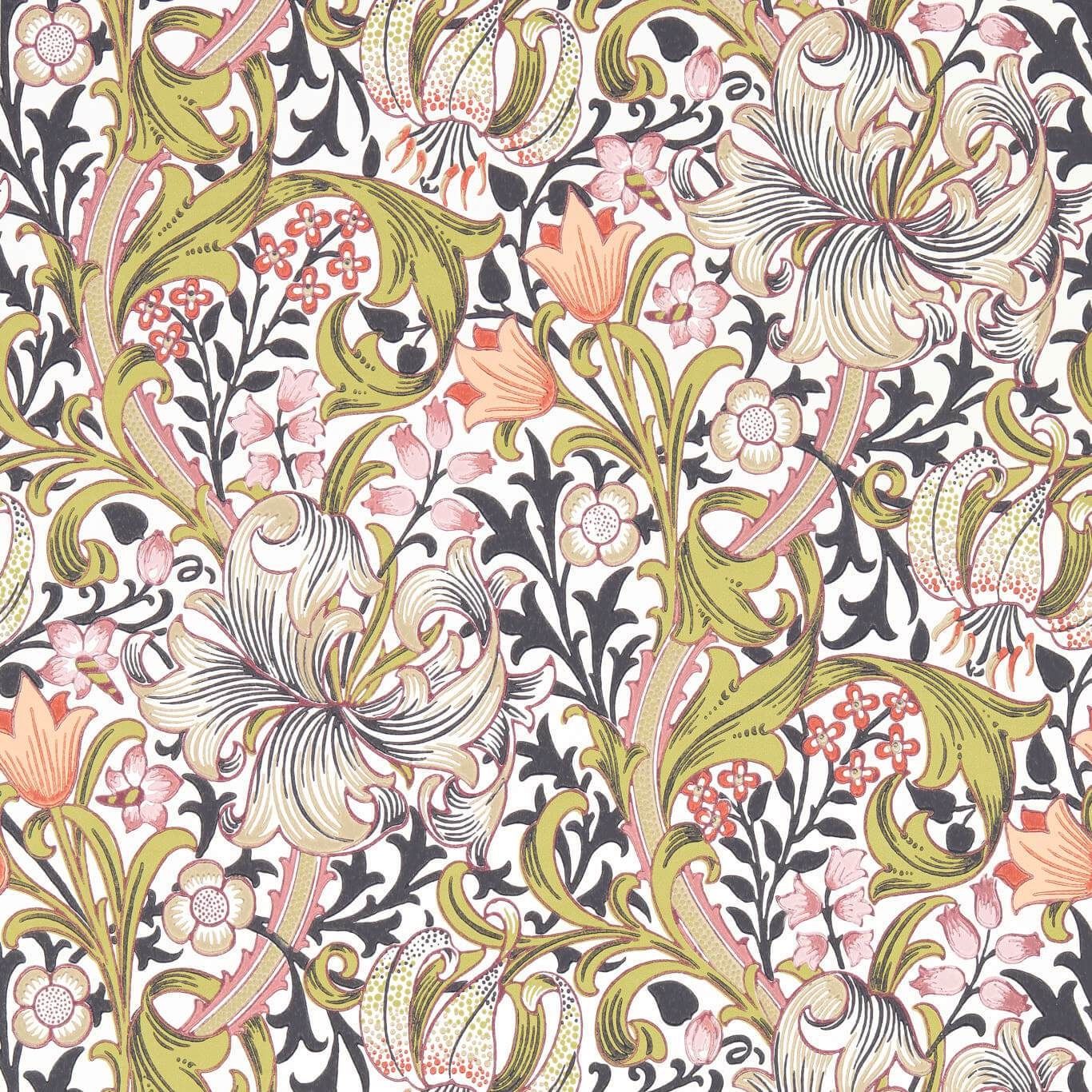 Olive - Bedford Golden Lily