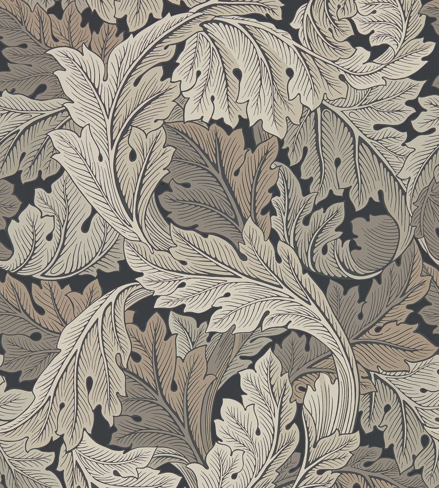 Grey - Acanthus Collector