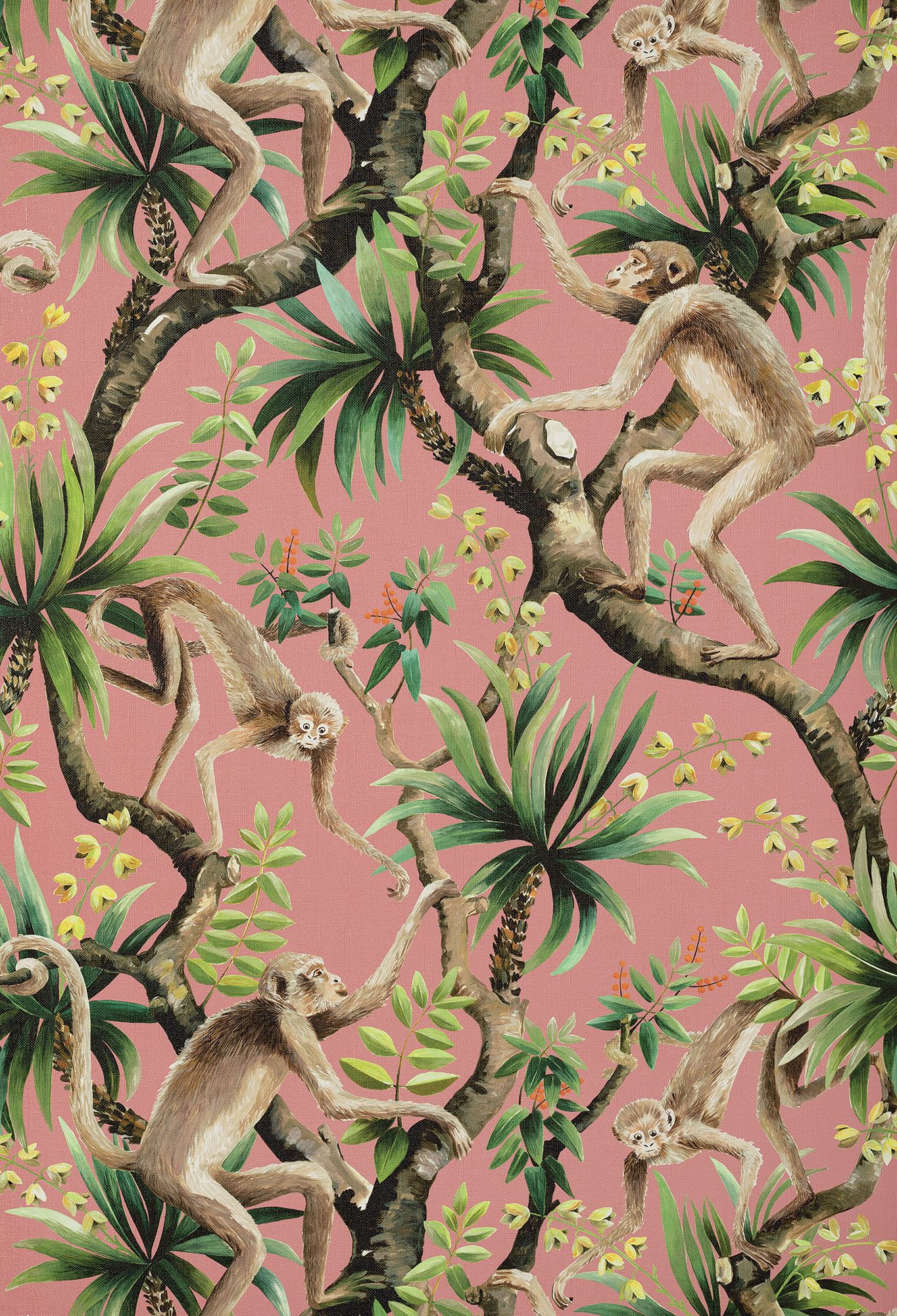 Coral - Monkey Business by Catherine Martin