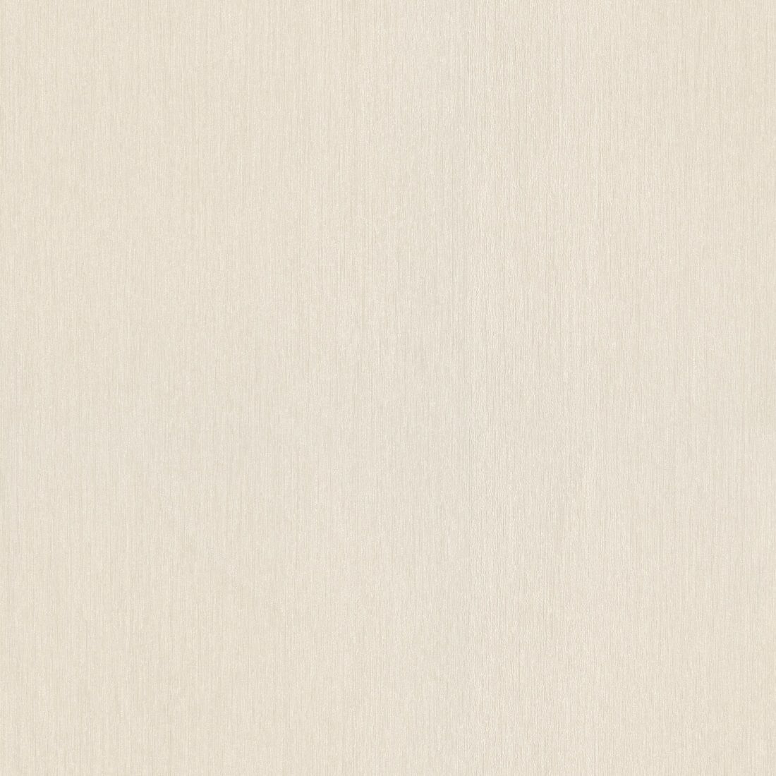 Champagne - Colani