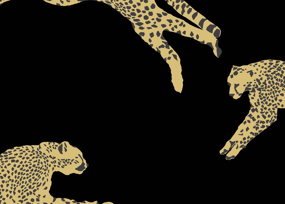 Black - Leaping Cheetah
