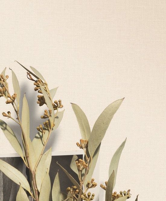 Parchment - Jute