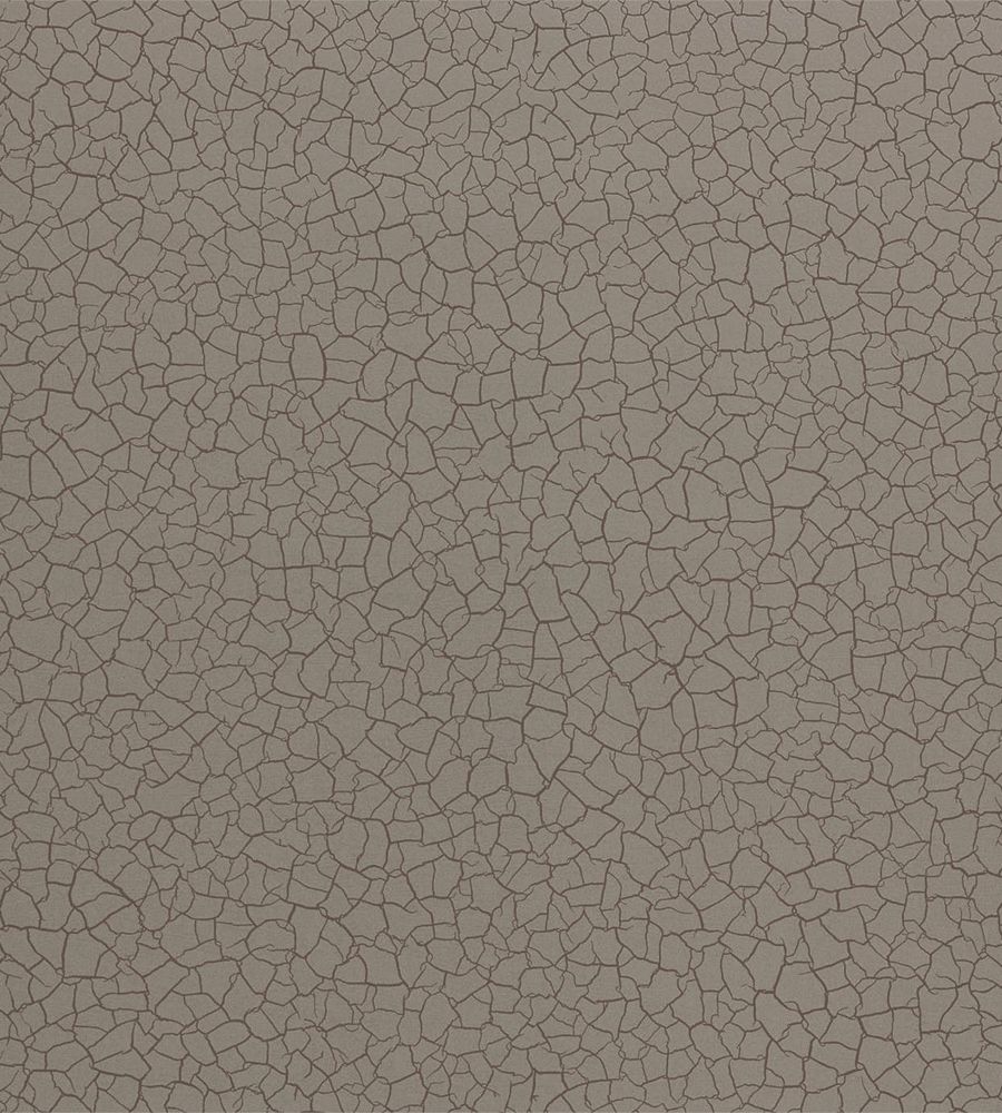 Pewter - Cracked Earth