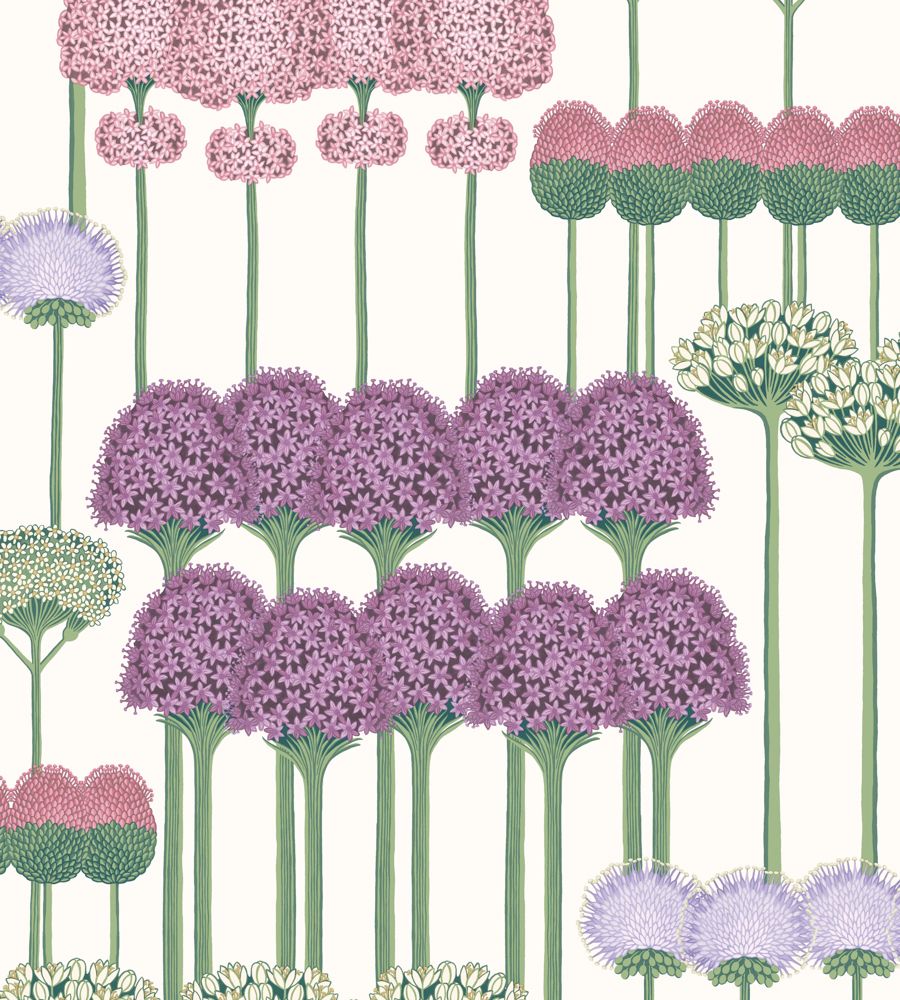 Pink - Allium
