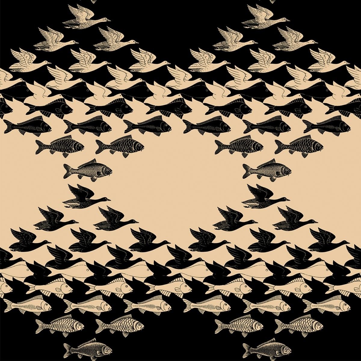 Black - Sky and Water by Escher