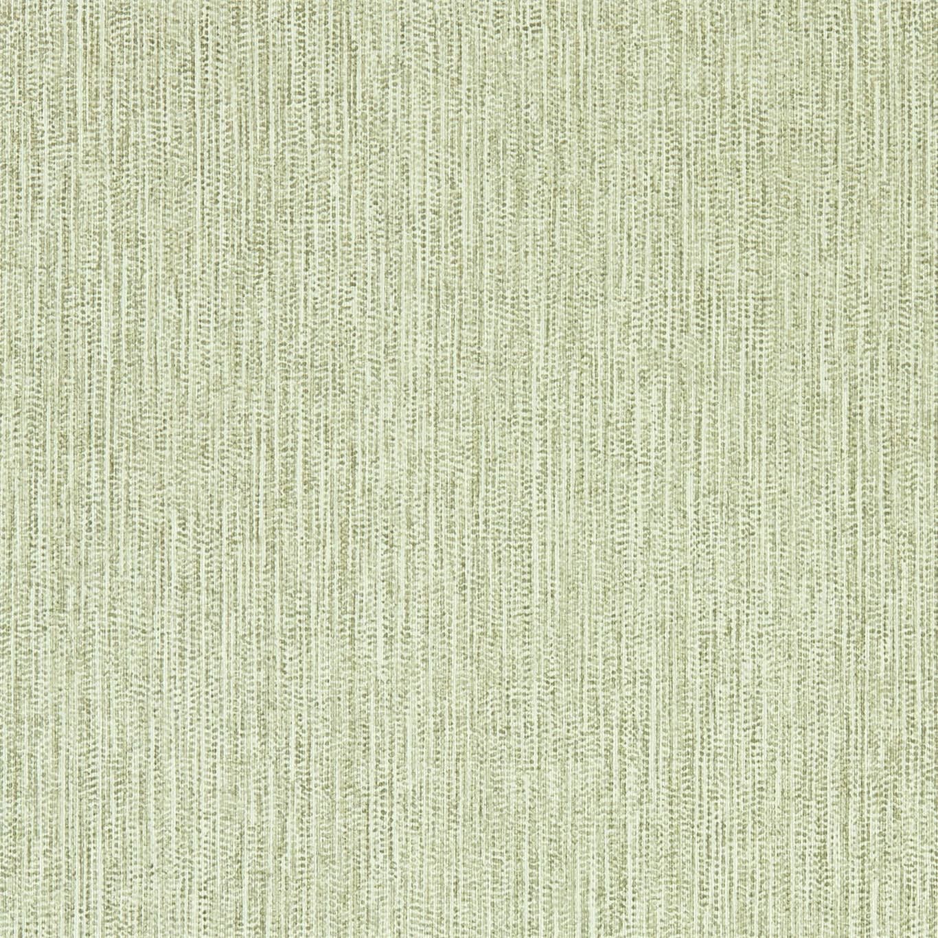 Olive - Zela