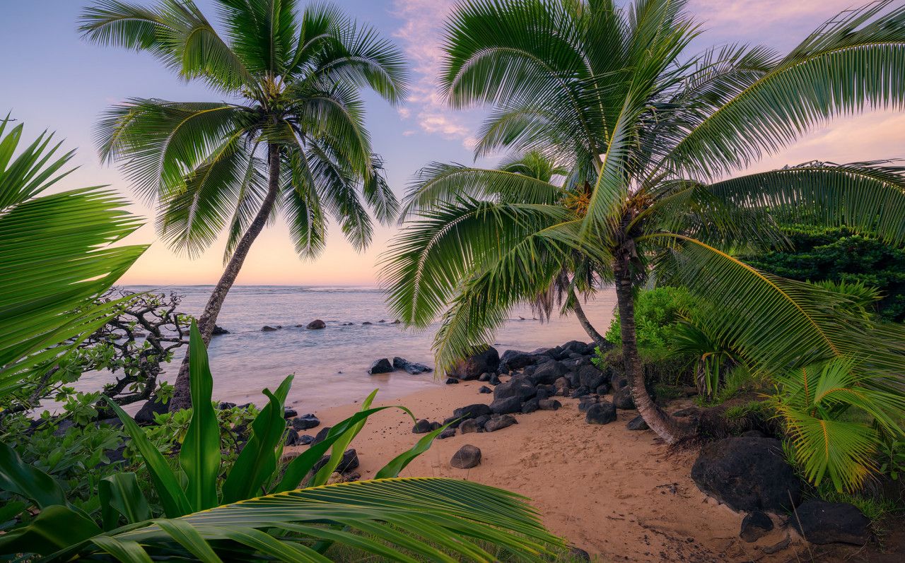 Hawaiian Dreams Mural