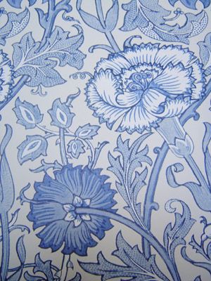 Blue - Pink & Rose