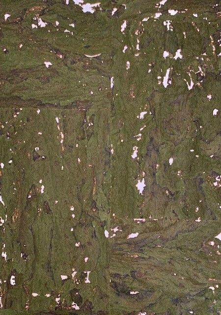 Cork - Moss