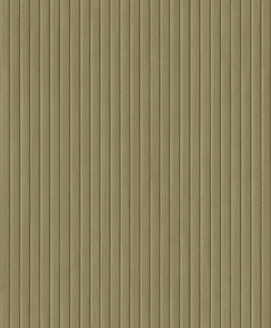 Olive - Boisea