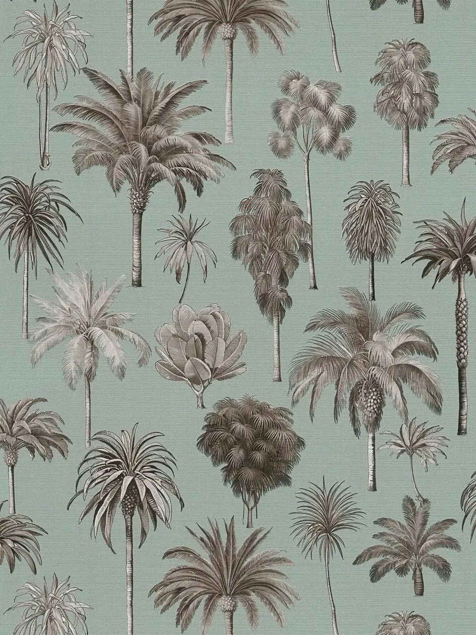 Mint - Palm Cove