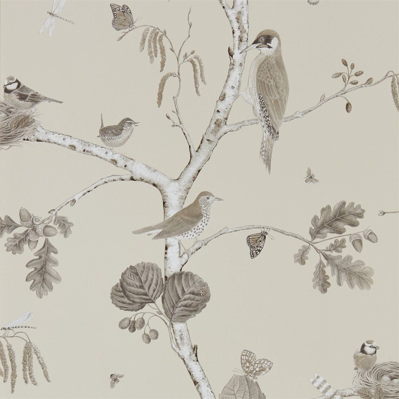 Sepia - Woodland Chorus