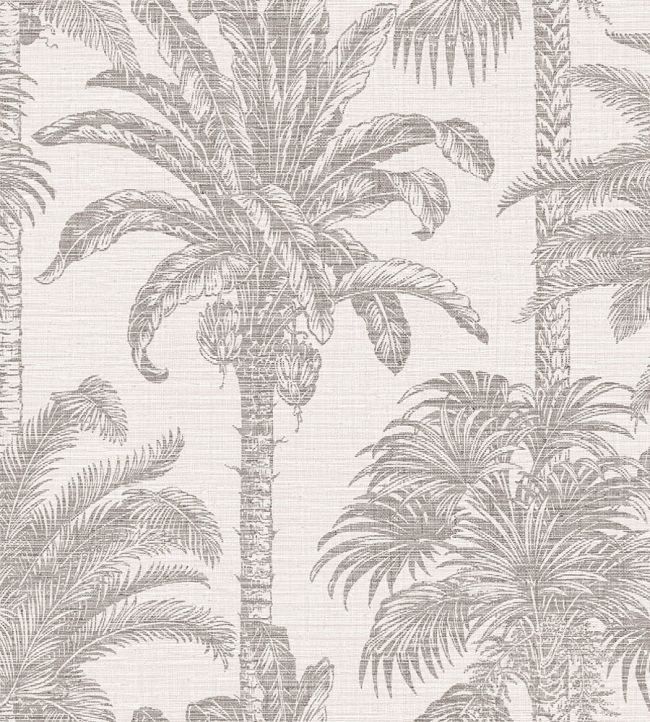 Grey - Amazzonia