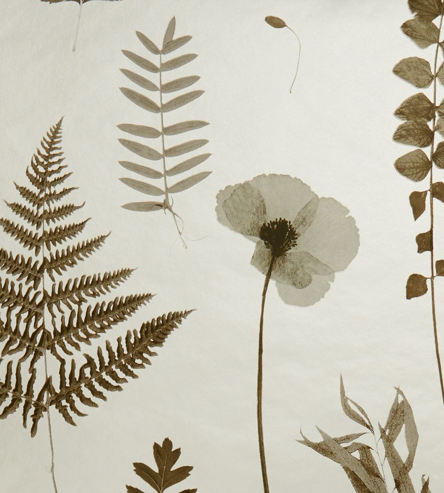 Gold - Herbarium C&C