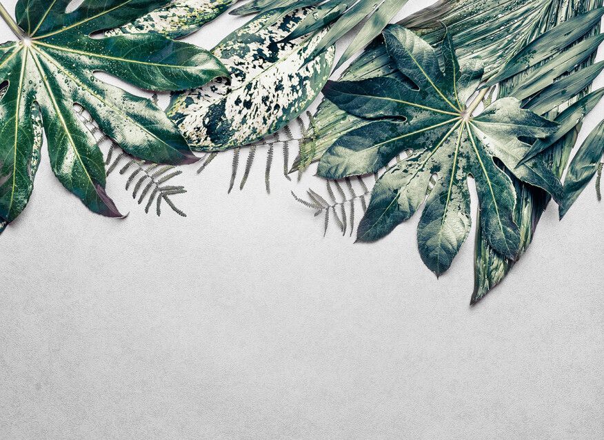 Tropical Leaves Mural - Grey