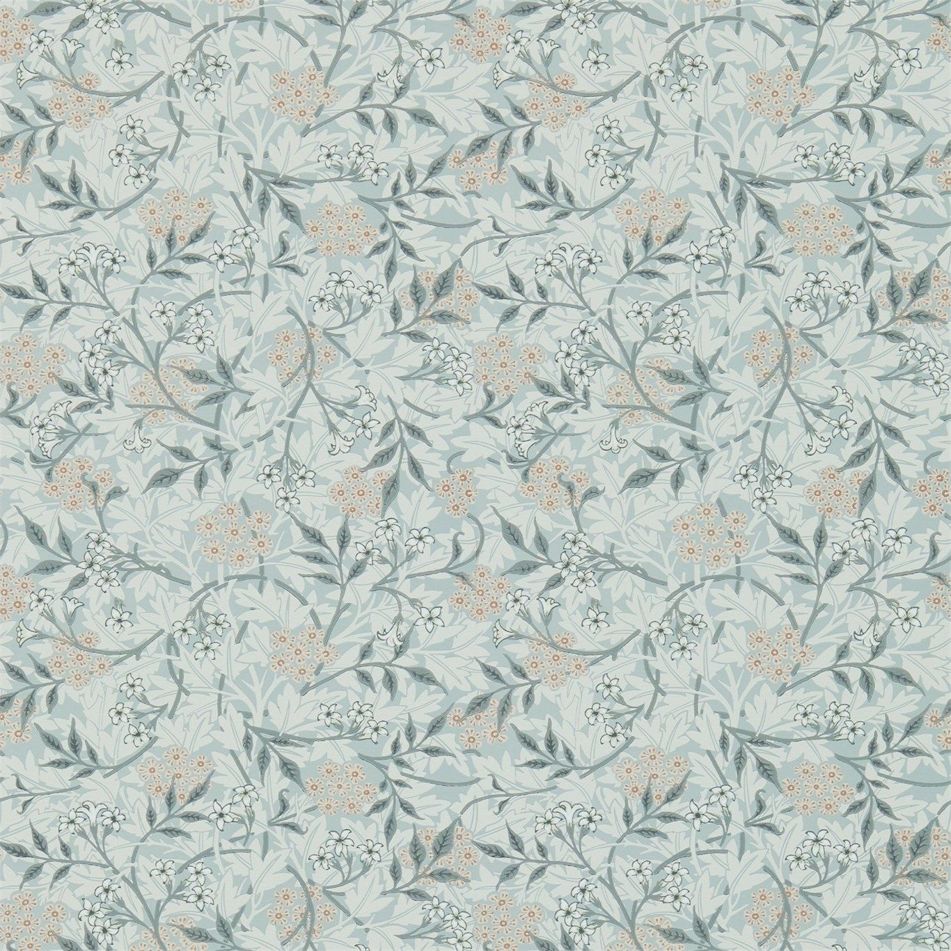 Grey - Jasmine