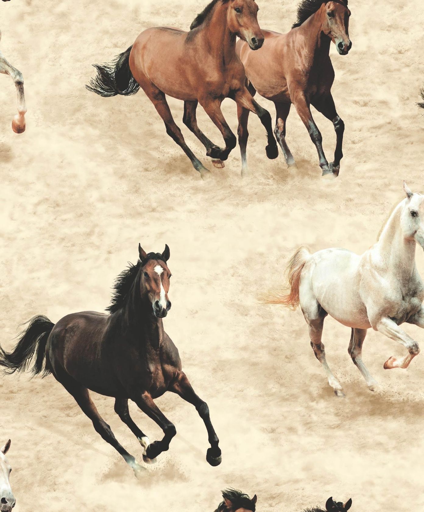 Wild Horses