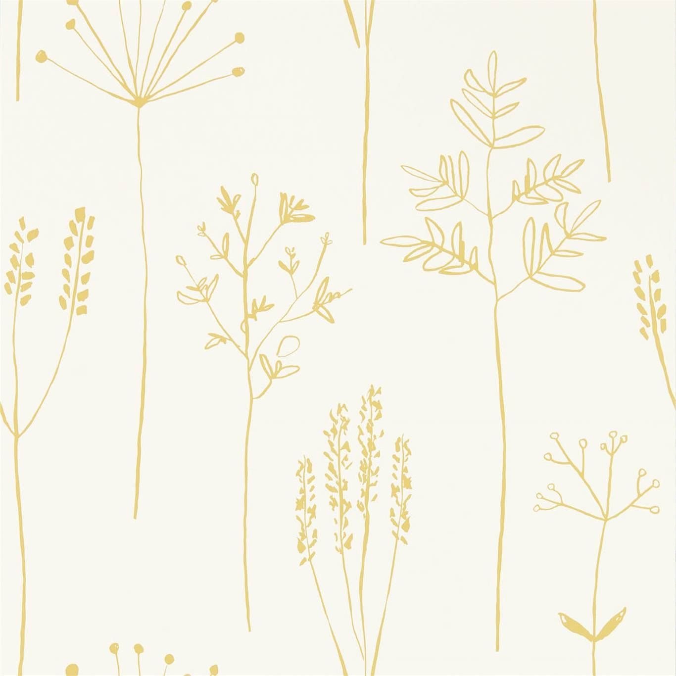 Mustard - Stipa