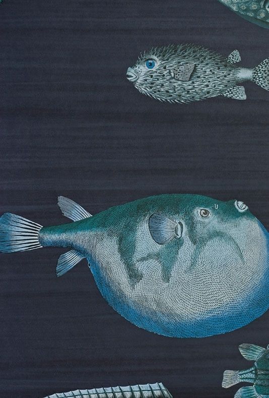Blue - Acquario