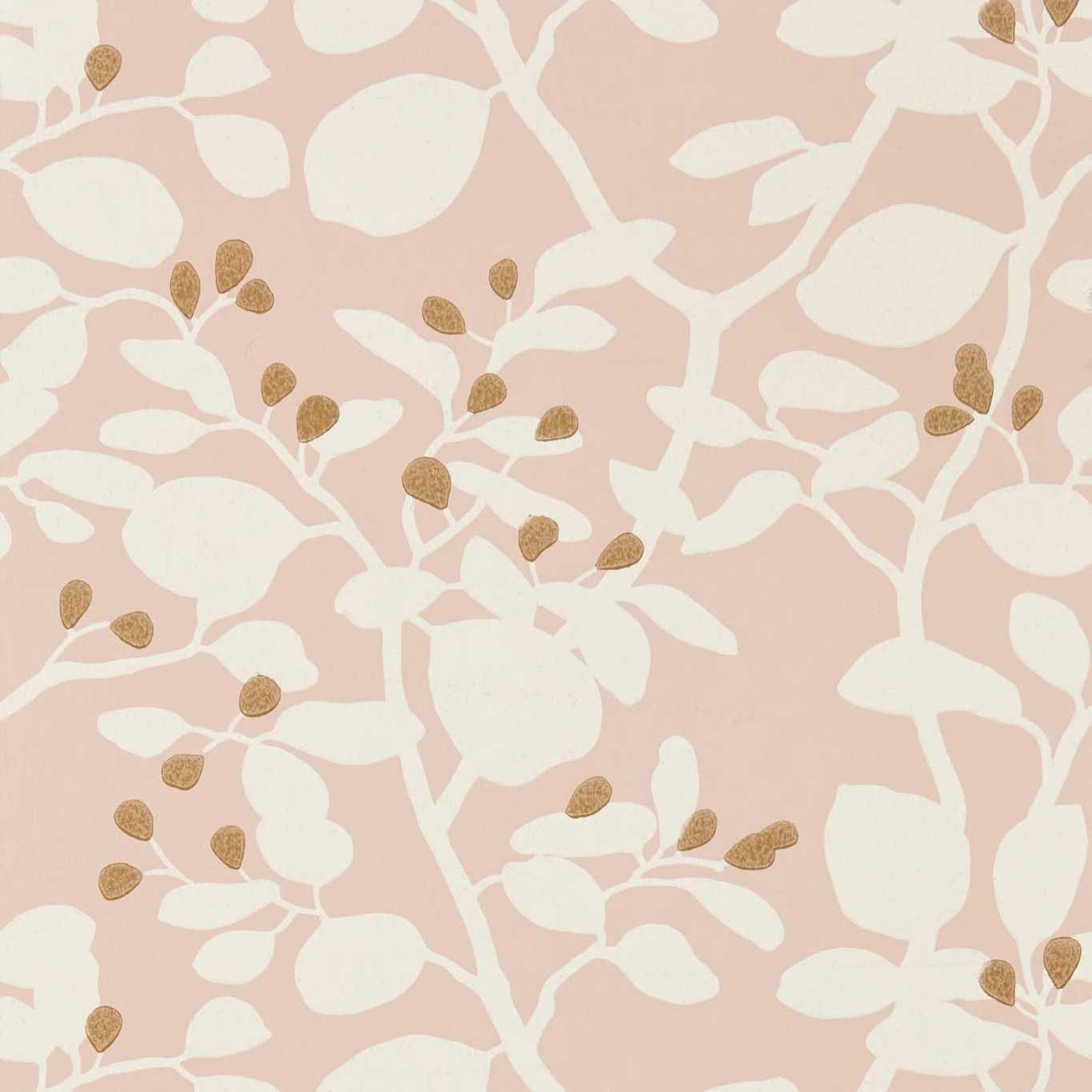 Pink - Ardisia