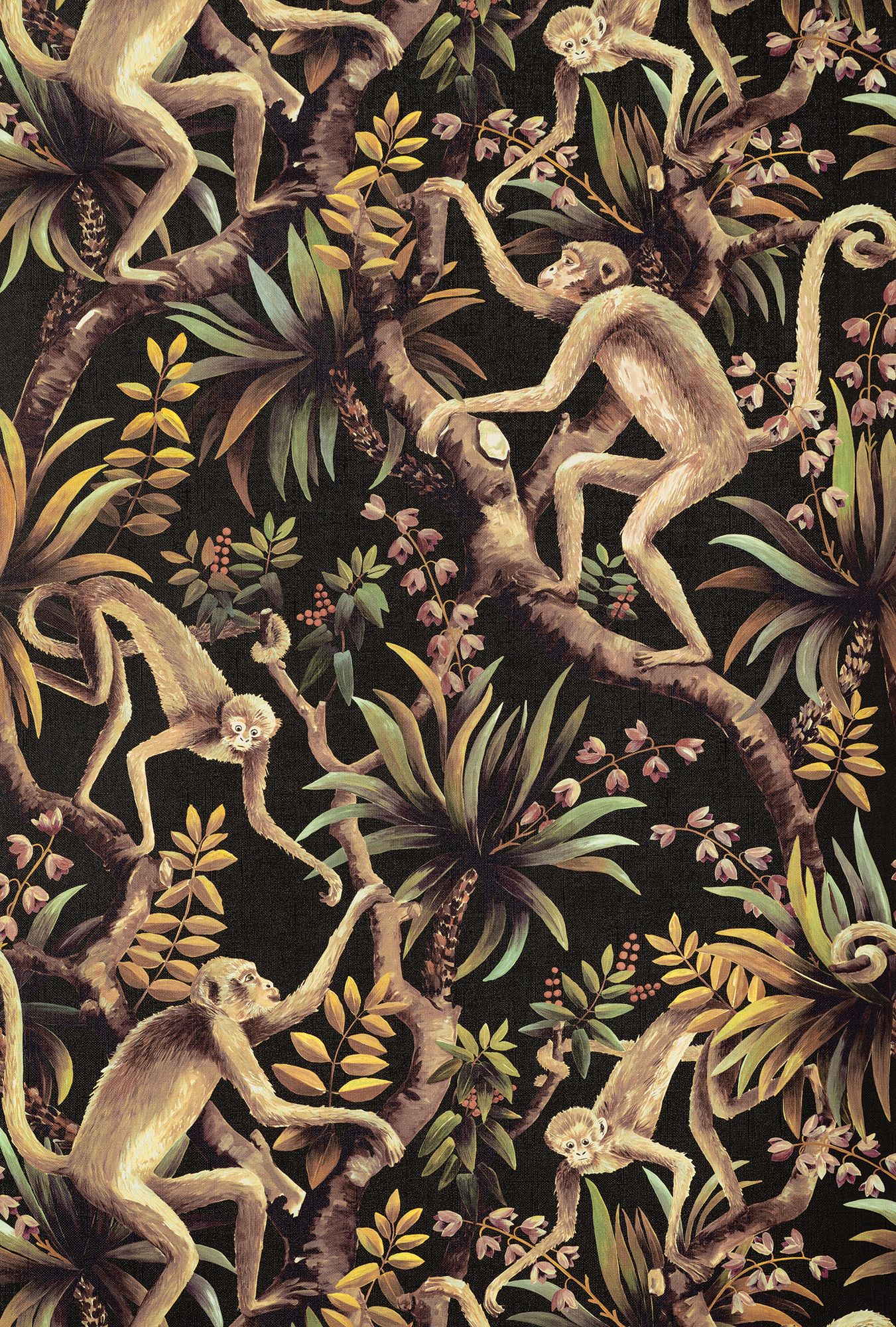 Sepia - Monkey Business by Catherine Martin