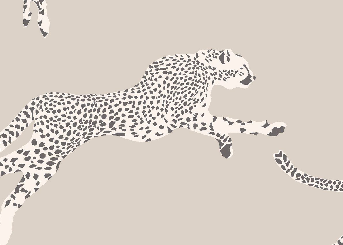 Grey - Leaping Cheetah