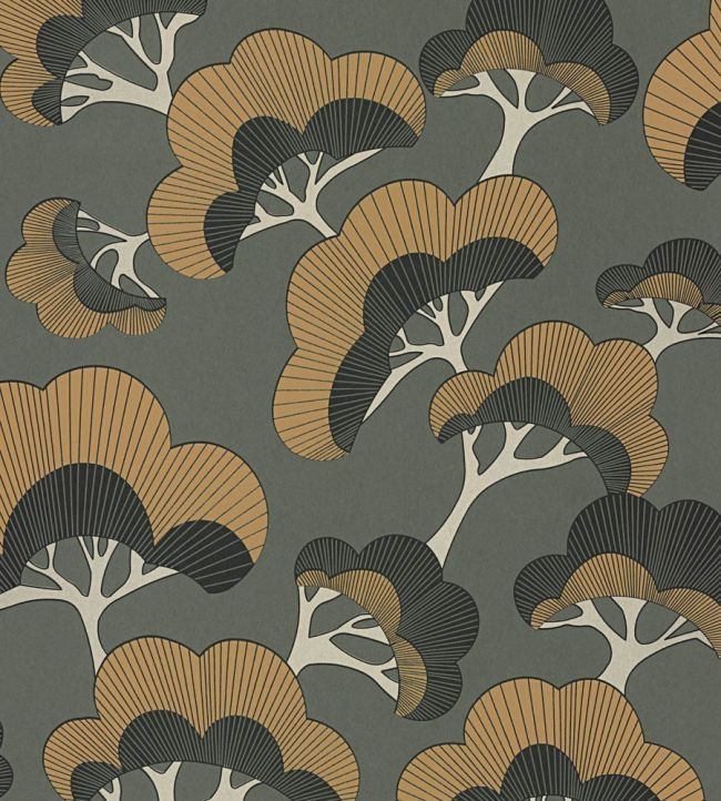 Khaki - Goyo Matsu