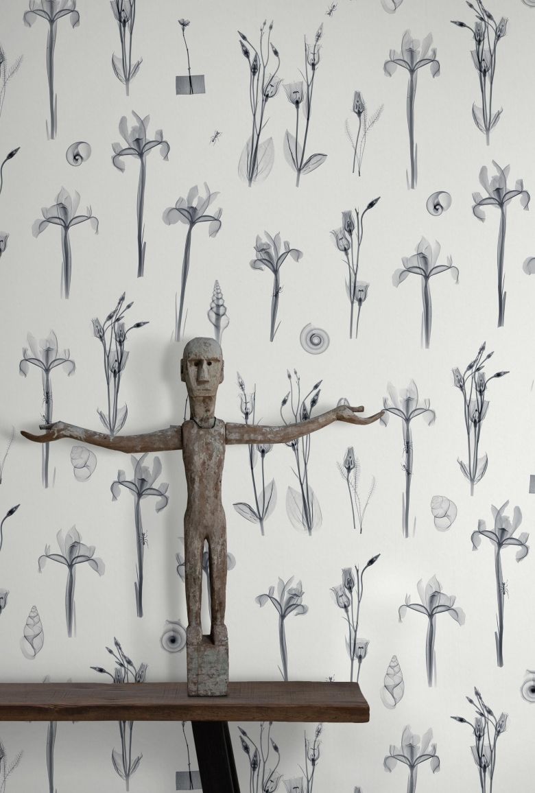 Grey - X-Ray Botanics 01