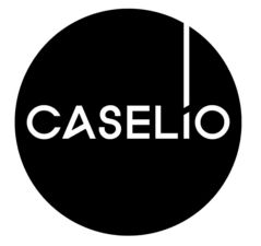 caselio logo.jpg