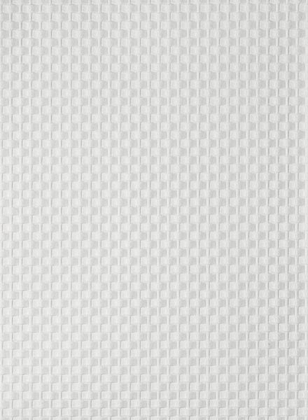Loblolly Paintable