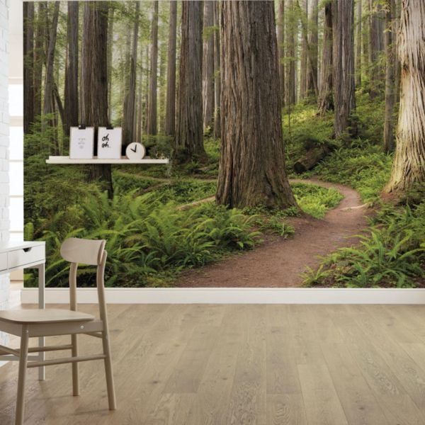 Redwood Trail Mural