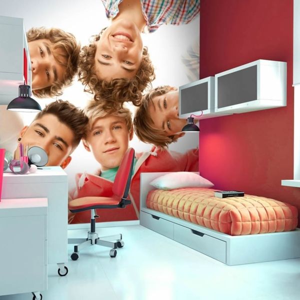 One Direction Circle Mural