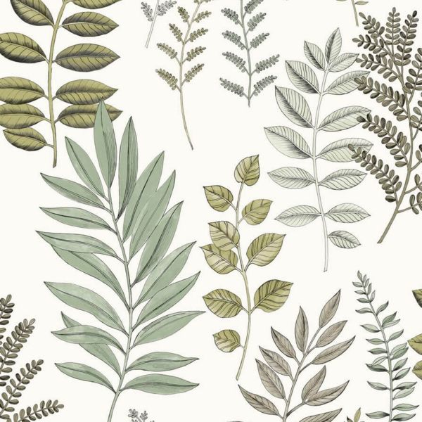 Sage