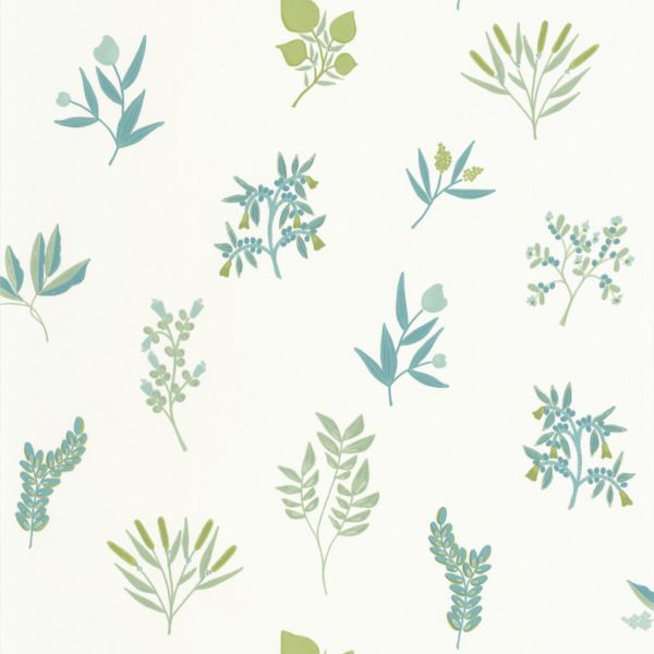 Sage
