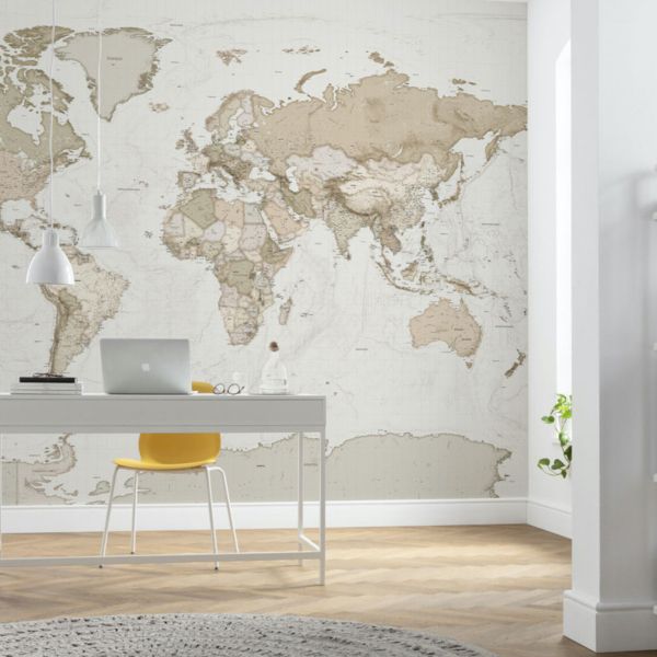 Earth Map Mural