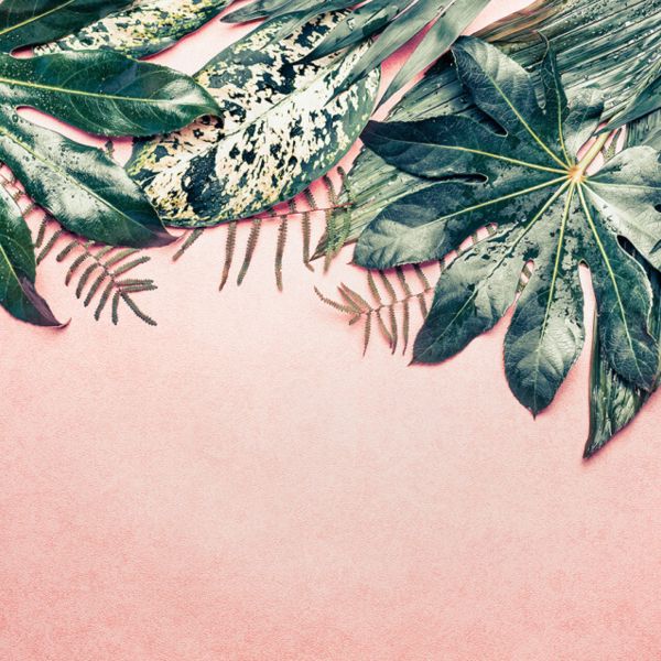 Tropical Leaves Mural - Pink