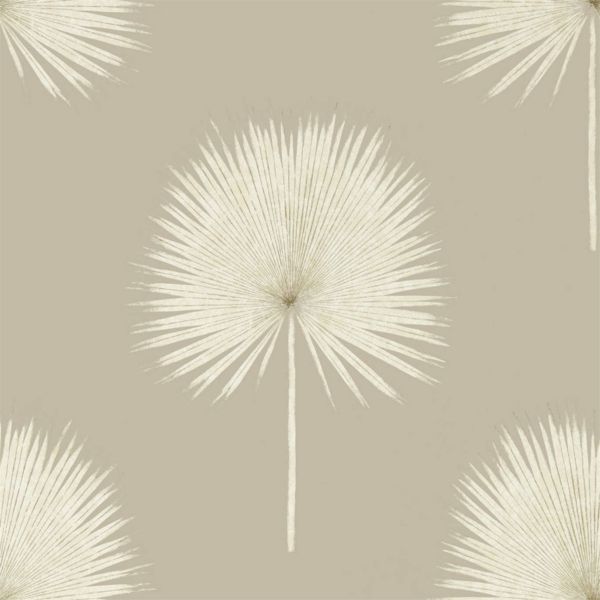 Champagne