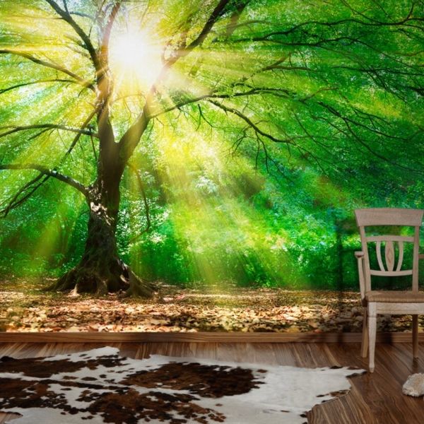 Forest Light Mural