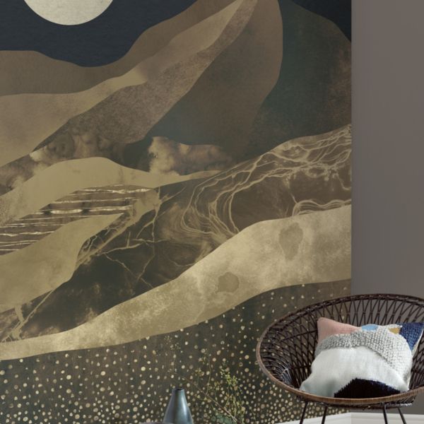 Mountain Spike Mural