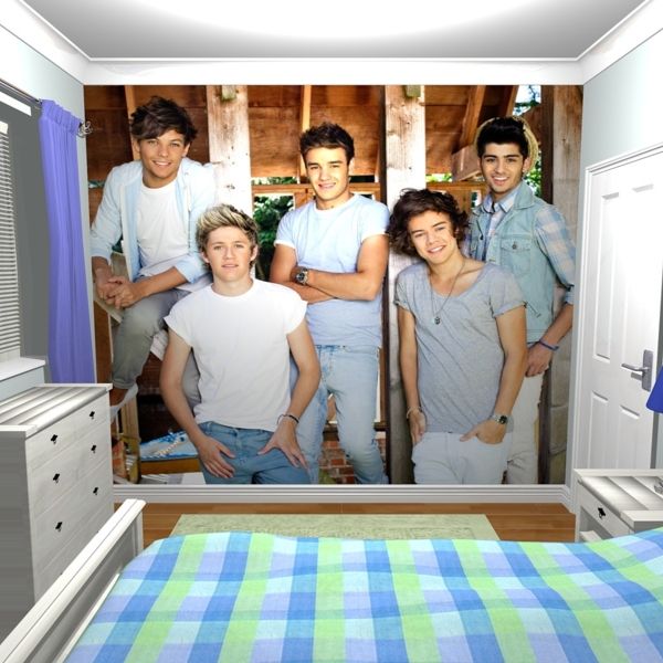 One Direction Barn Mural