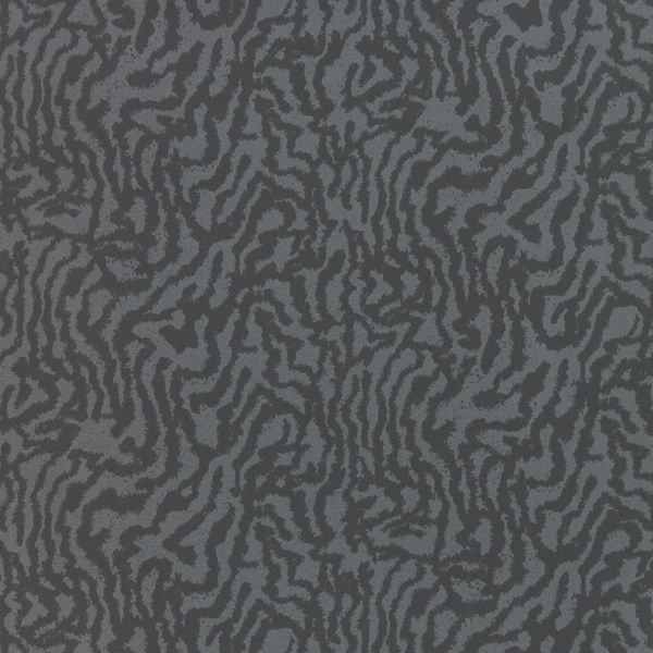 Charcoal