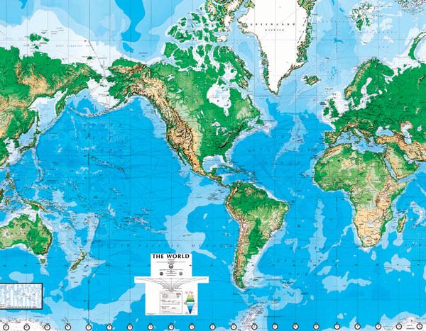 Executive World Map Mural