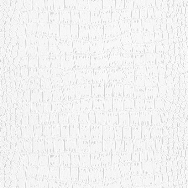 Crocodile Paintable