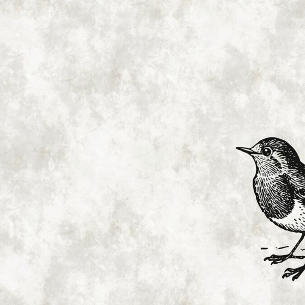 Sketchpad Bird Mural