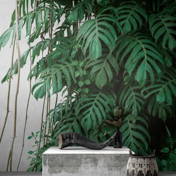 Monstera Wall Mural